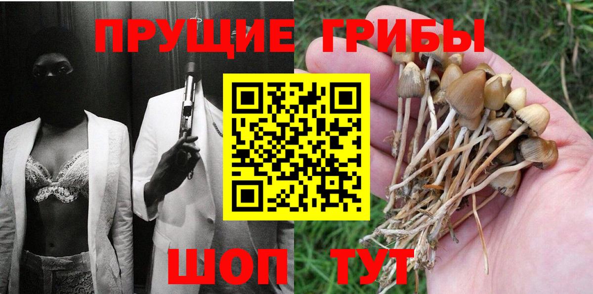 хочу наркоту  Галлюциногенные грибы Psilocybine cubensis  Вход с VPN  Псилоцибиновые грибы мухоморы  Ессентуки 