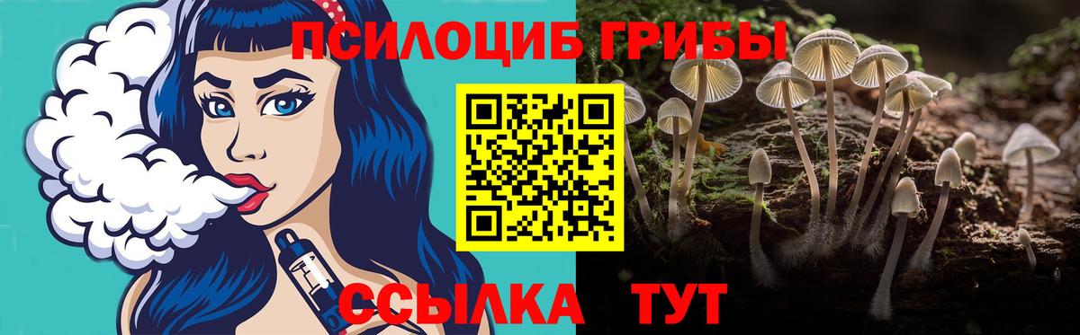 Псилоцибиновые грибы GOLDEN TEACHER Ессентуки
