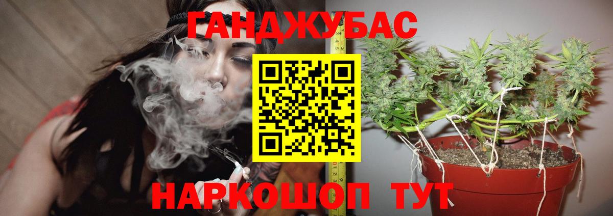 Шишки марихуана гибрид  МАРИХУАНА Bruce Banner  Вход с VPN  МАРИХУАНА MAZAR  Ессентуки  Каннабис план 